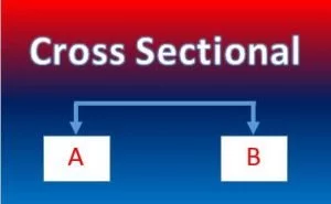 Cross Sectional Adalah