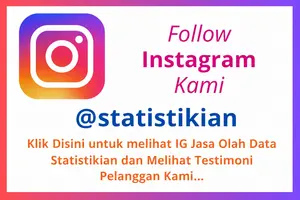 Instagram Statistikian